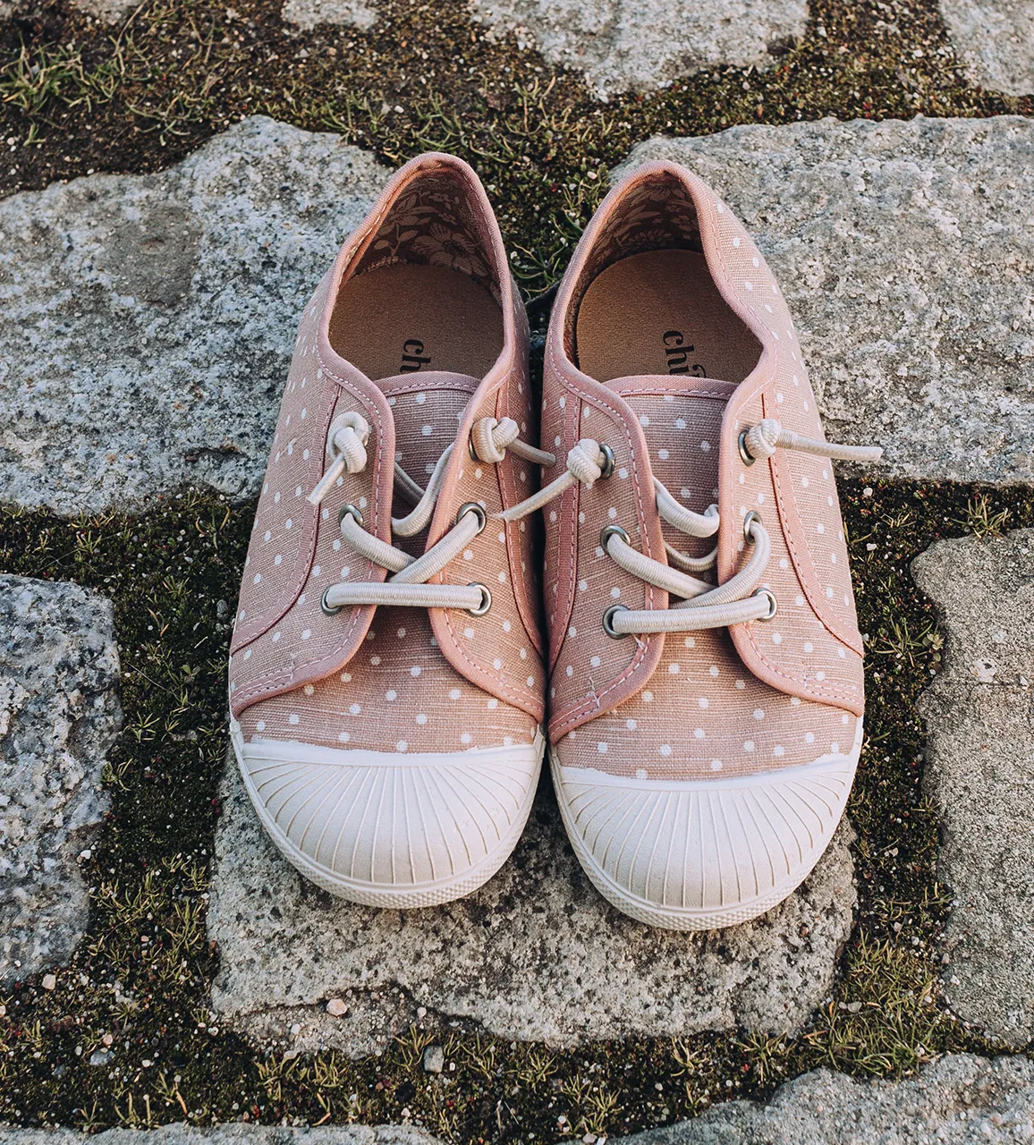 Canvas Elastic Sneaker In Pink Dots