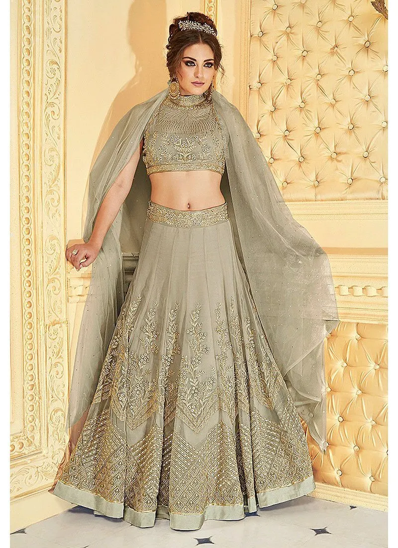 Grayish Beige Net Designer Anarkali Lehenga Suit