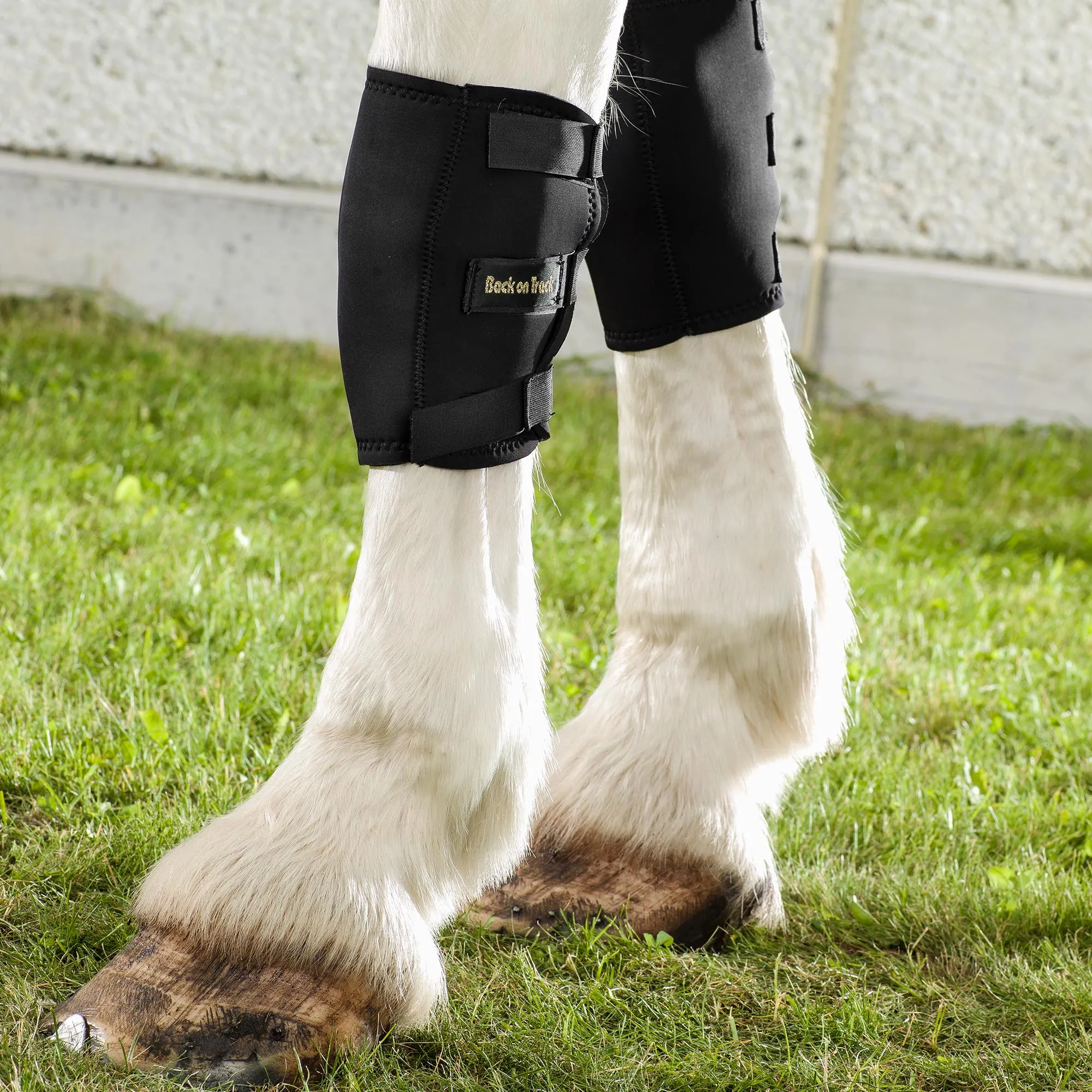 Horse Knee Boots